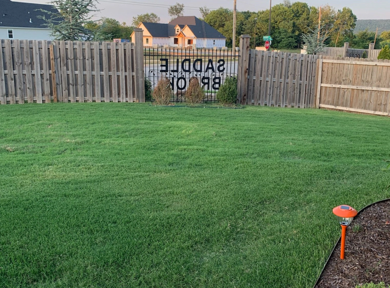 newly installed grass
